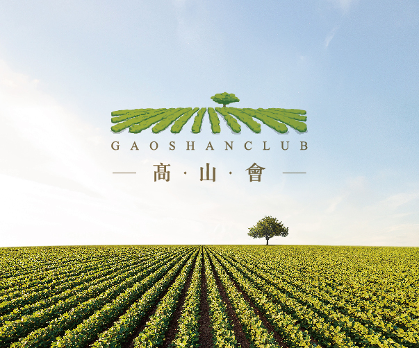 北京logo設計的設計團隊有哪些專業背景？